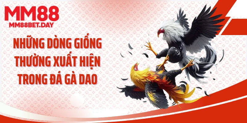 Những dòng giống thường xuất hiện trong đá gà dao